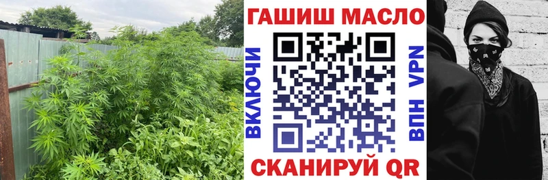 Купить где  Спасск-Рязанский  ТГК концентрат 